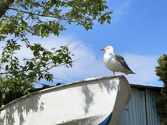 Similar image 21794173