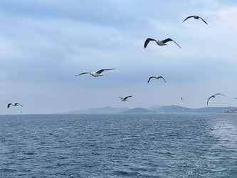 Similar image 21794176