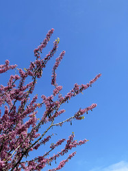 Similar image 21794183