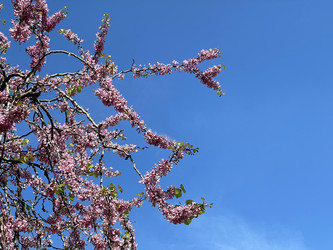 Similar image 21794185