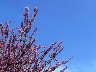 Similar image 21794187