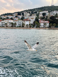 Similar image 21794188