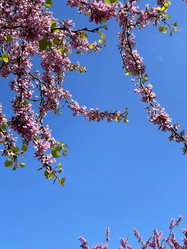 Similar image 21794189