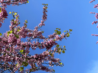 Similar image 21794191