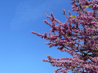 Similar image 21794195