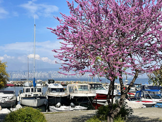 Similar image 21794197