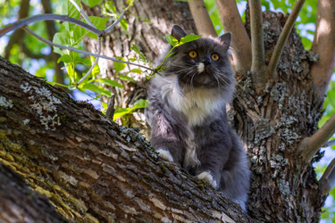 Similar image 21793610