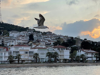 Similar image 21794347