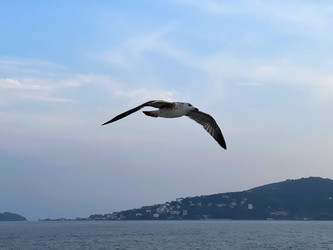 Similar image 21794352