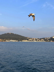 Similar image 21794354