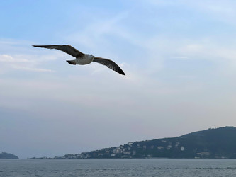 Similar image 21794355