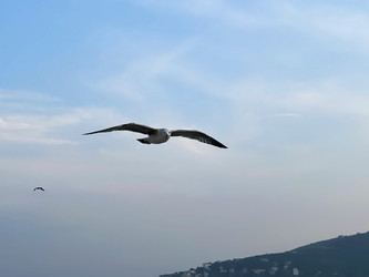 Similar image 21794357