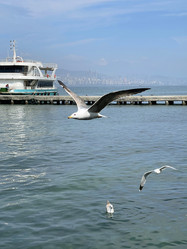 Similar image 21793926