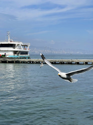 Similar image 21794199