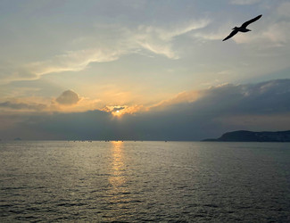 Similar image 21794202