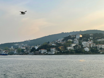 Similar image 21794205