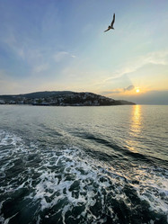 Similar image 21794209