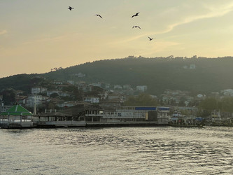 Similar image 21794212