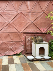 Similar image 21794215