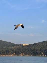 Similar image 21794216