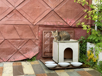 Similar image 21794217