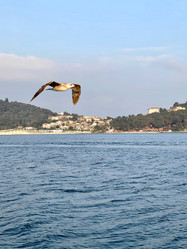 Similar image 21794218