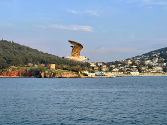 Similar image 21794220