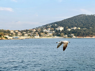 Similar image 21794221