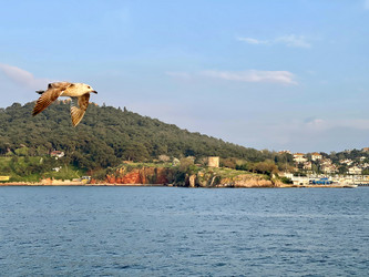 Similar image 21794222