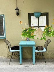 Similar image 21794231