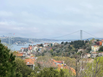 Similar image 21794239