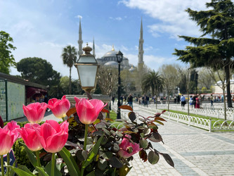 Similar image 21794375