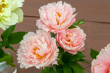 Similar image 21790085