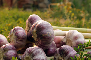 Similar image 21790864