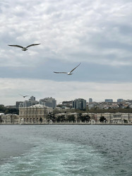 Similar image 21794250