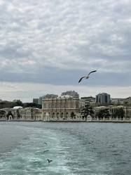 Similar image 21794252