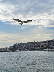 Similar image 21794260