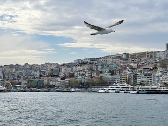 Similar image 21794262