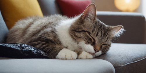 Similar image 21805105