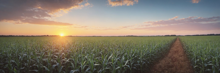 Similar image 21805110