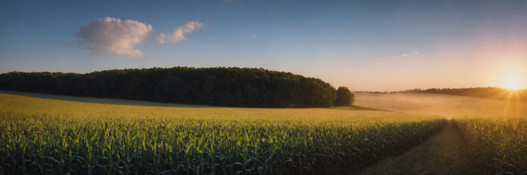 Similar image 21805111