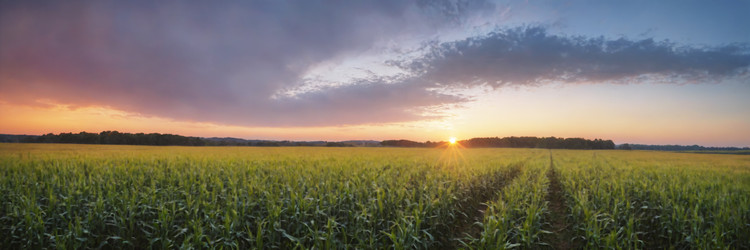 Similar image 21805112