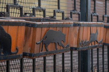 Similar image 21790091