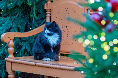 Similar image 21790093