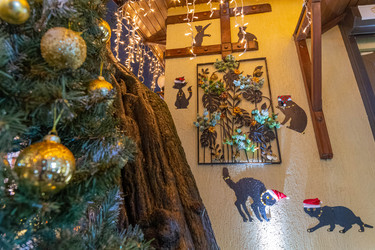 Similar image 21790095