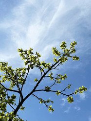 Similar image 21794287