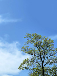 Similar image 21794296