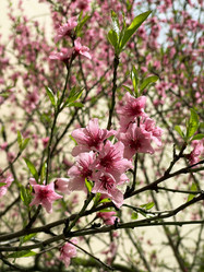 Similar image 21794411