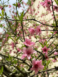 Similar image 21794413