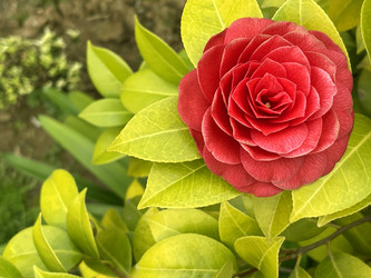 Similar image 21794421